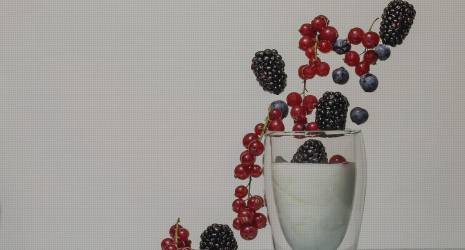 ¿Cuál es la diferencia entre una cultivadora de yogur casera y una industrial?