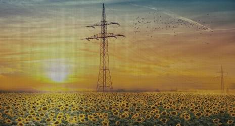 ¿Qué garantías suelen ofrecer los fabricantes de freidoras eléctricas de aire?
